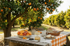 Food and Gifts