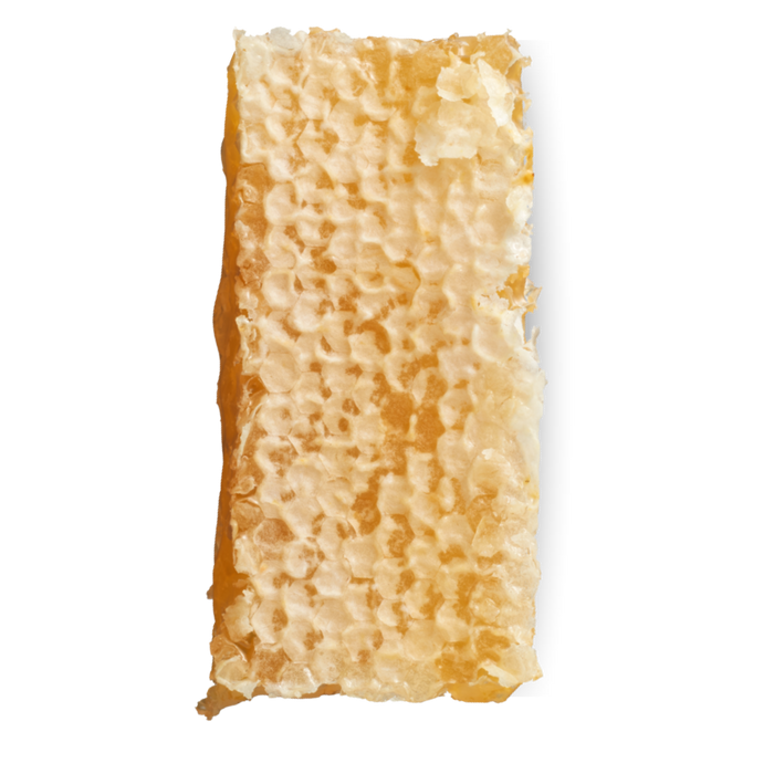 Honeycomb